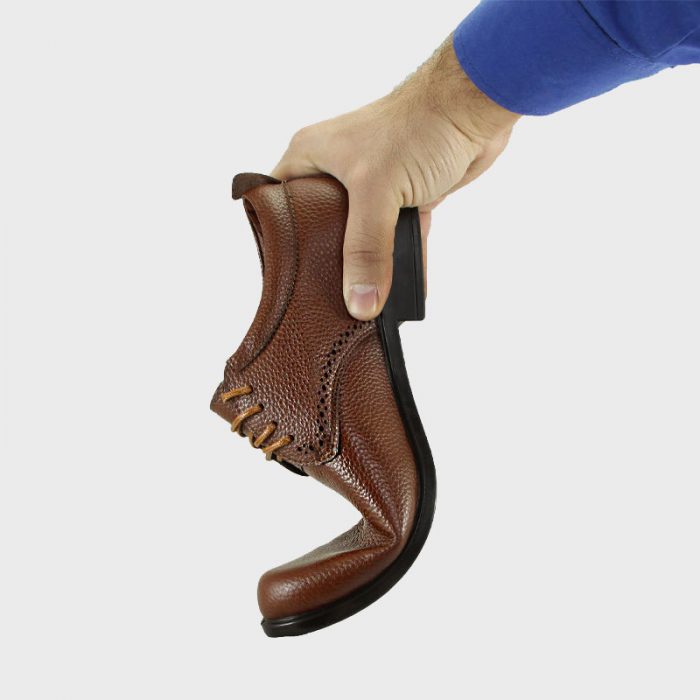 کفش مردانه رادین مدل ۶۶۳۱  | فروشگاه اینترنتی تی پکس